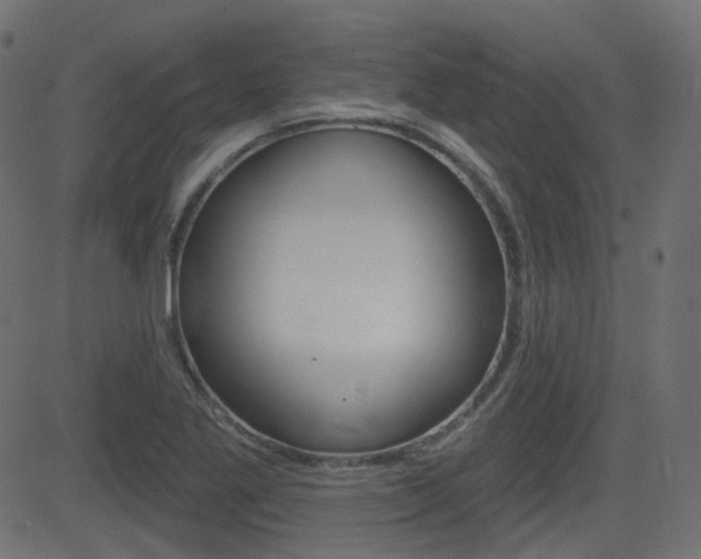 X0000081621269200701151046