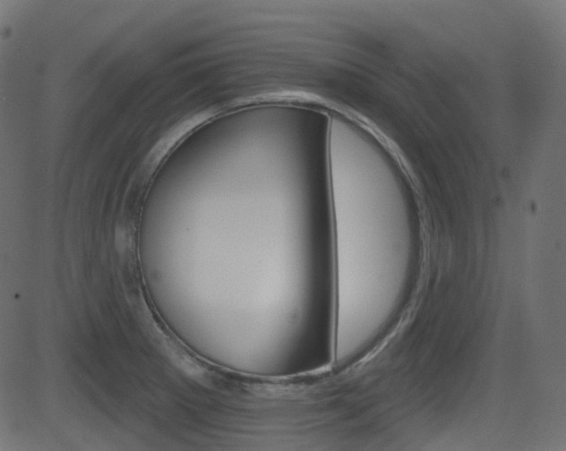 X0000081621281200701151045