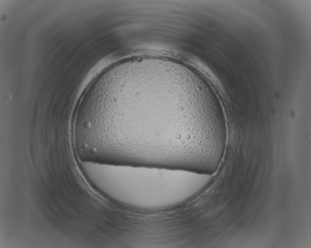 X0000081621283200701151045