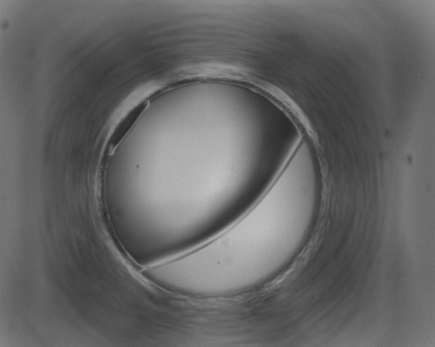X0000081621285200701151045
