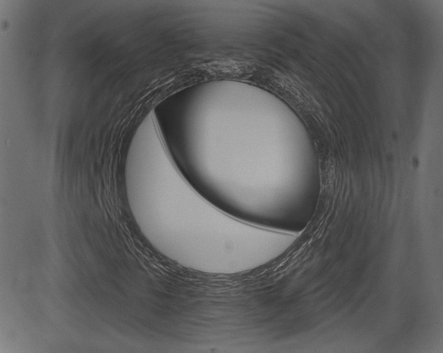 X0000081621297200701151044