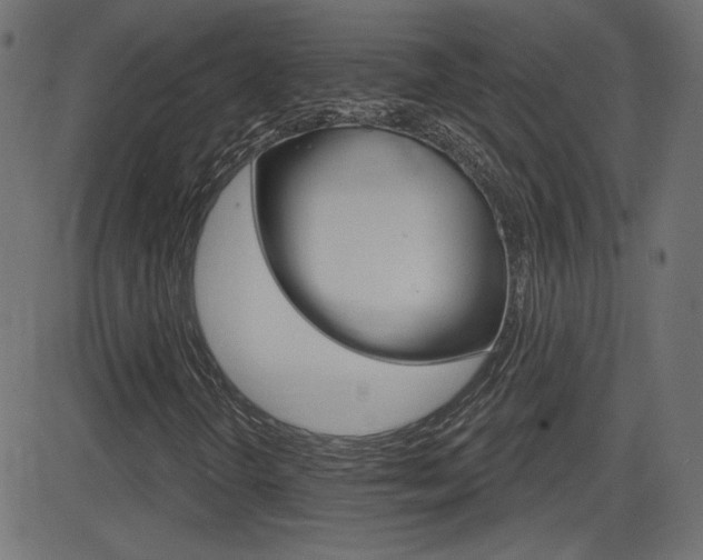 X0000081621298200701151044