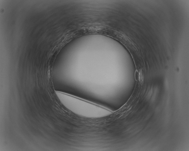 X0000081621299200701151044