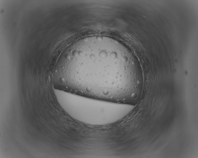 X0000081621302200701151044