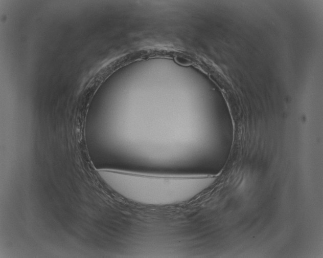 X0000081621303200701151044