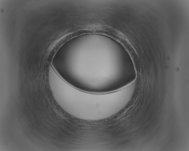 X0000081621304200701151044