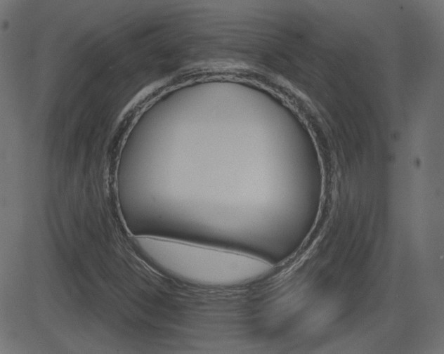 X0000081621306200701151044