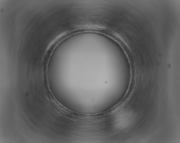 X0000081621307200701151044