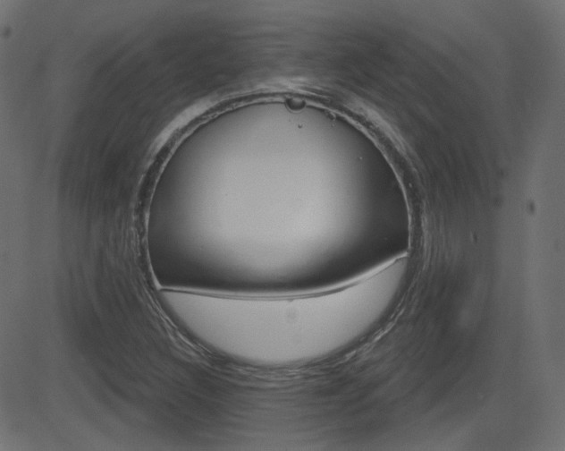 X0000081621308200701151044