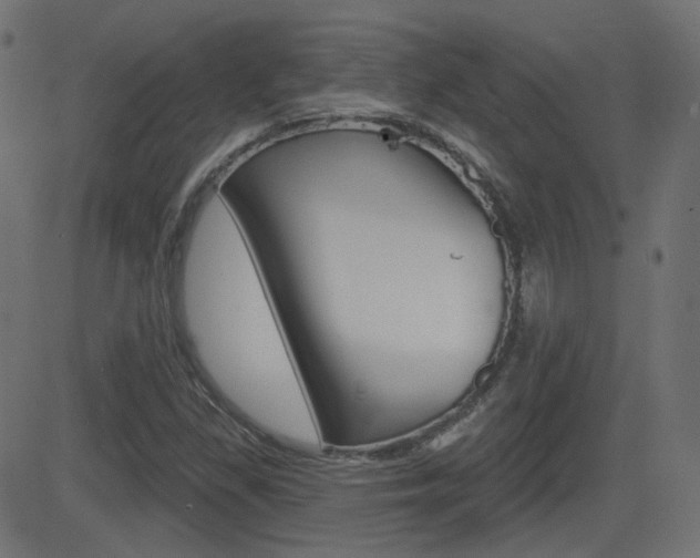 X0000081621309200701151045