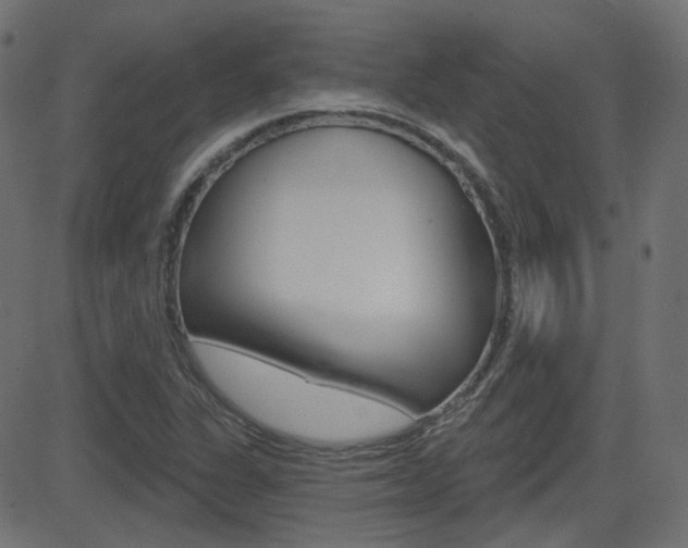X0000081621311200701151045