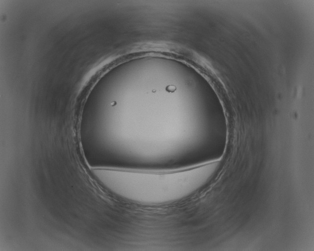 X0000081621312200701151045