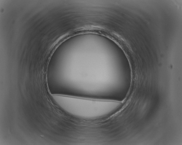 X0000081621313200701151045