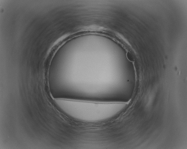 X0000081621315200701151045