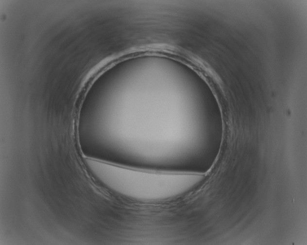 X0000081621316200701151045