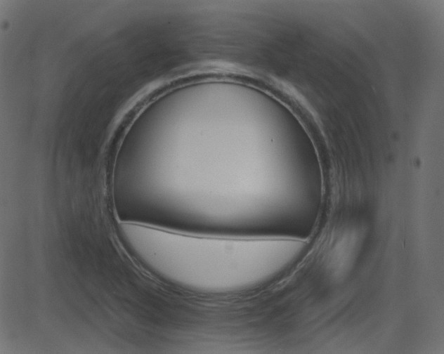 X0000081621318200701151045