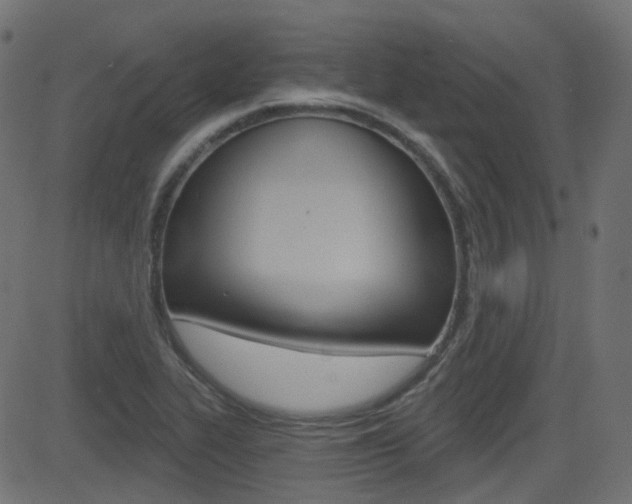 X0000081621319200701151045