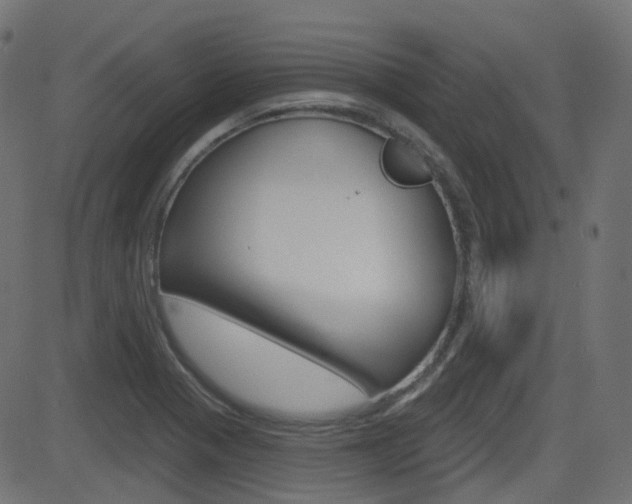 X0000081621321200701151045