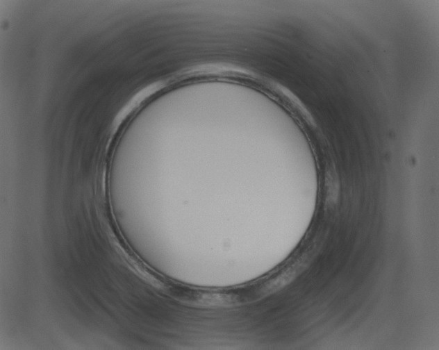 X0000081621322200701151045