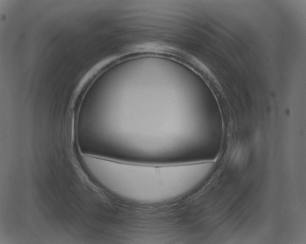 X0000081621323200701151045