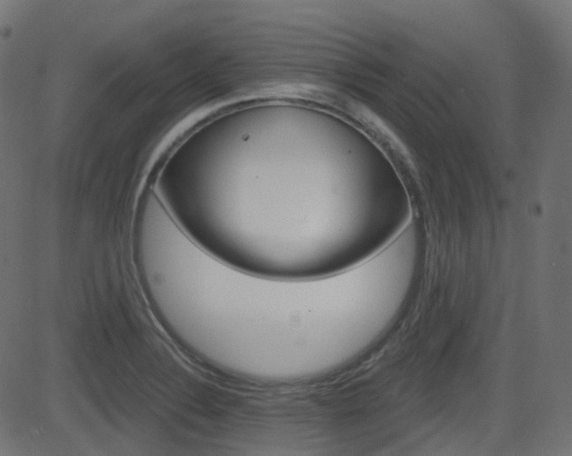 X0000081621324200701151045