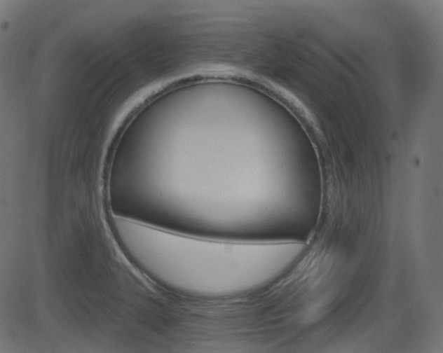 X0000081621327200701151045