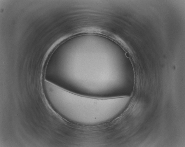 X0000081621331200701151045