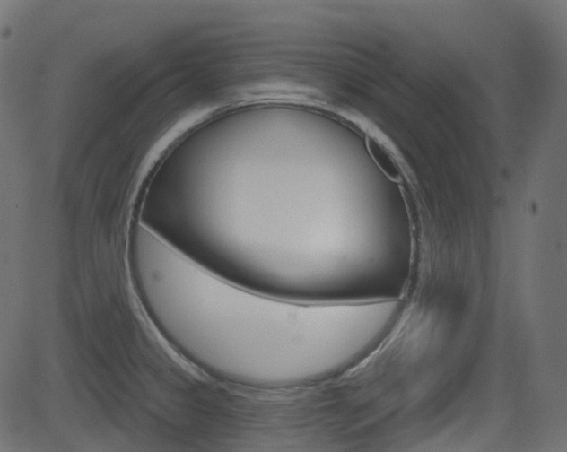 X0000081621333200701151045