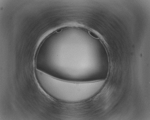 X0000081621335200701151045