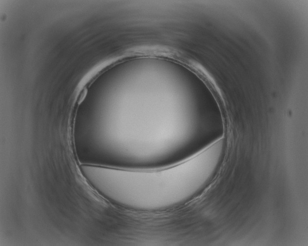 X0000081621336200701151045