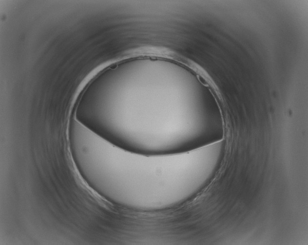 X0000081621339200701151045