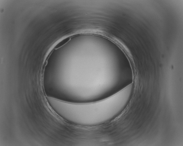 X0000081621340200701151045