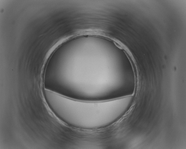 X0000081621341200701151045