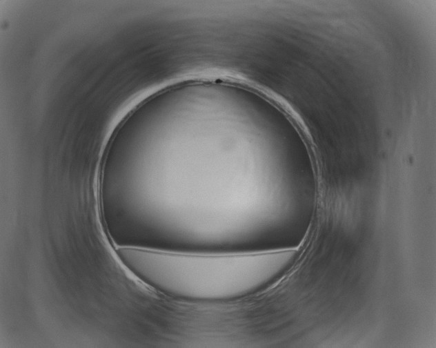 X0000081621343200701151045