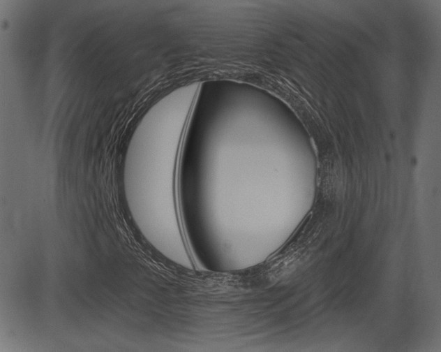 X0000081621345200701151044
