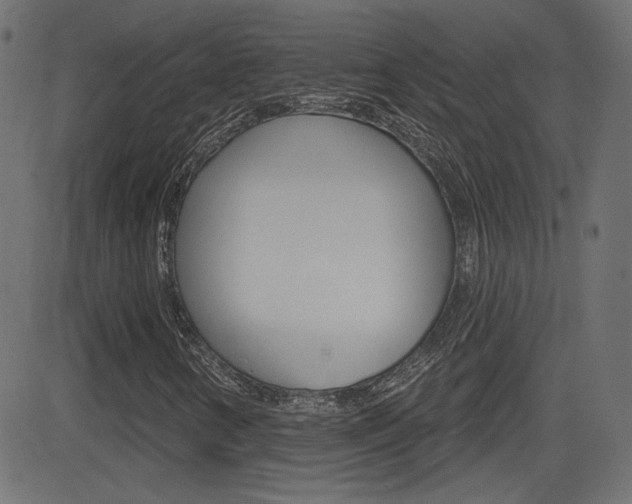 X0000081621346200701151044