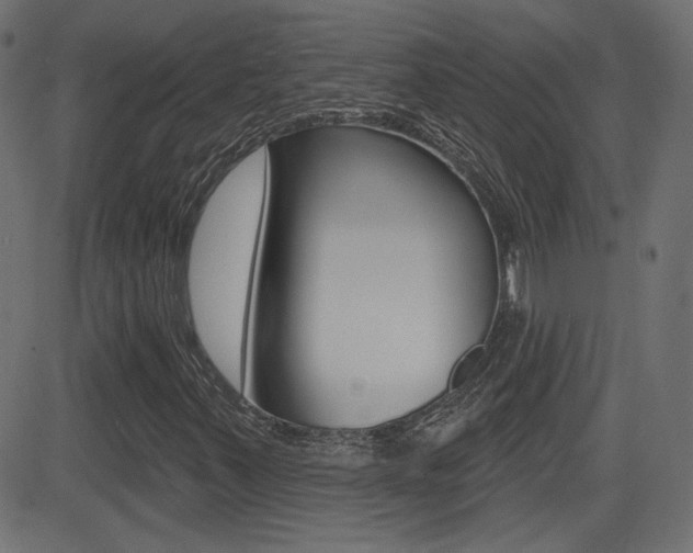 X0000081621347200701151044
