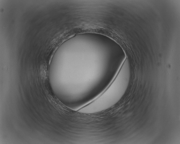 X0000081621348200701151044