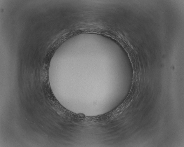 X0000081621350200701151044