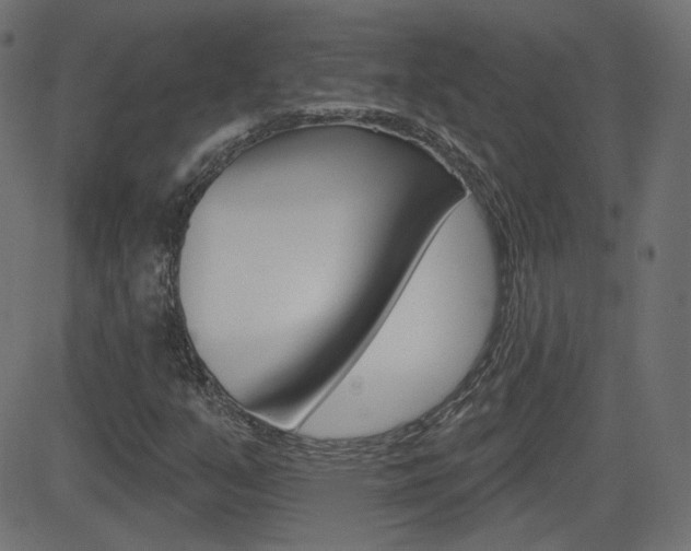 X0000081621351200701151044