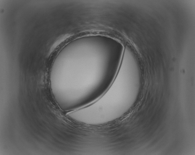 X0000081621352200701151044