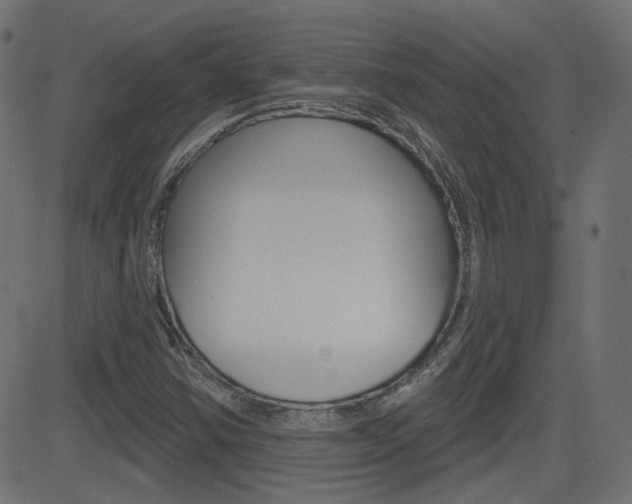 X0000081621354200701151044