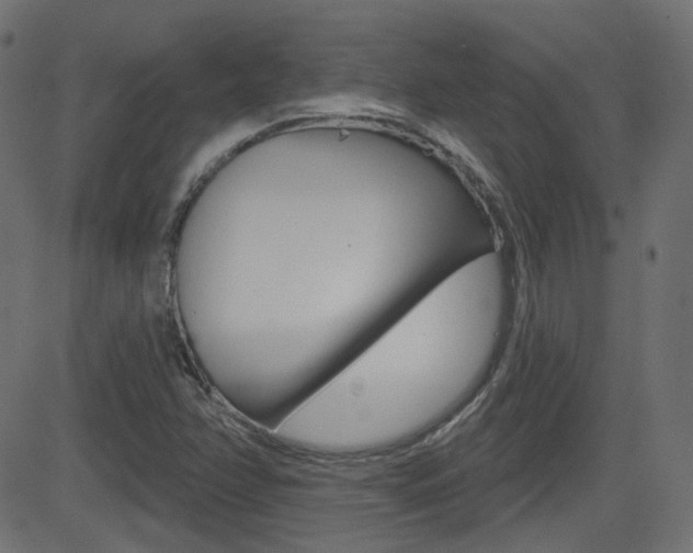 X0000081621358200701151044