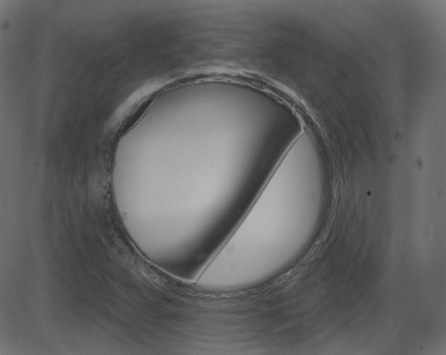 X0000081621359200701151044