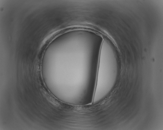X0000081621360200701151044