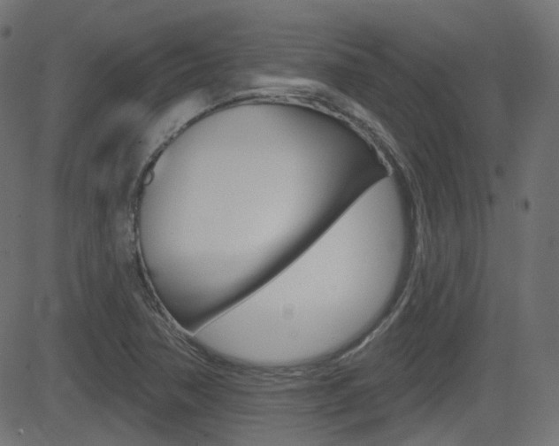 X0000081621362200701151044