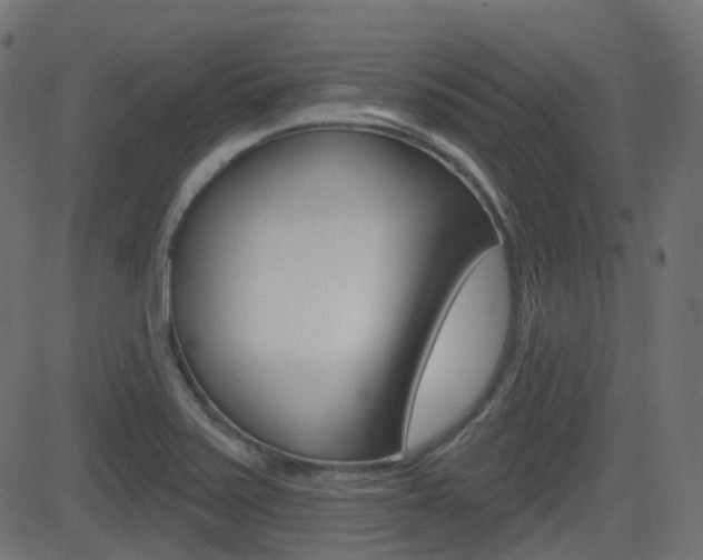 X0000081621371200701151044