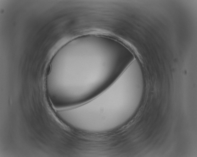 X0000081621375200701151044