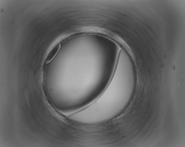 X0000081621376200701151044