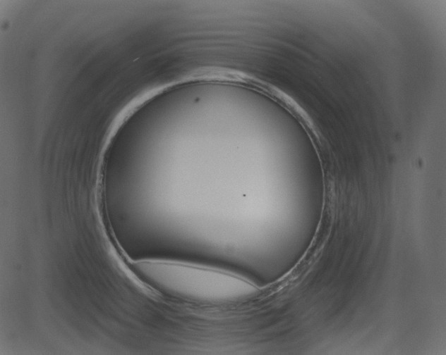 X0000081621379200701151044